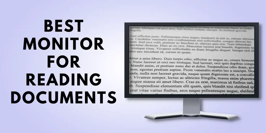 Best Monitor for Reading Documents